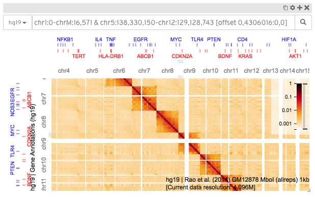 _images/higlass-heatmap-screenshot.png