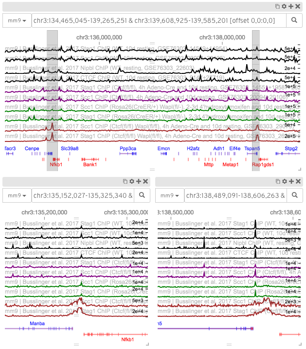 _images/higlass-dual-genome-browser-screenshot.png